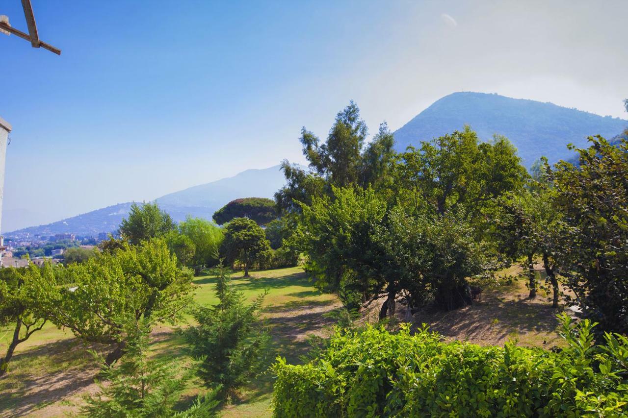 Amore Rentals - Villa Panorama Castellammare di Stabia Eksteriør bilde